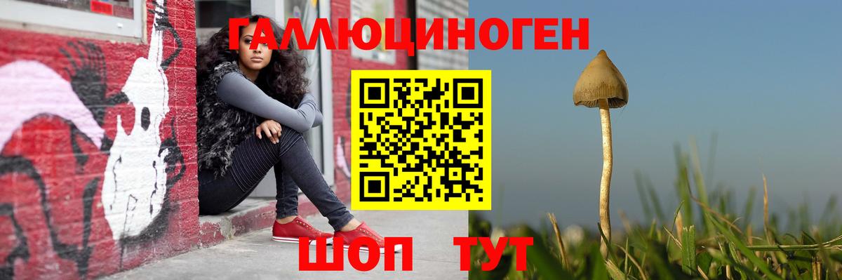 Галлюциногенные грибы Cubensis  Вход с VPN  наркота  Октябрьский  Галлюциногенные грибы Cubensis 